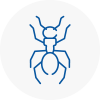 Ant Removals In Primrose Hill