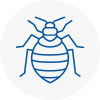 Bed Bug Extermination In Primrose Hill