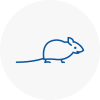 Mice Exterminators In Primrose Hill