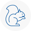 Primrose Hill Rodent Removals