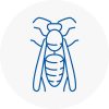 Primrose Hill Wasp Nest Removal